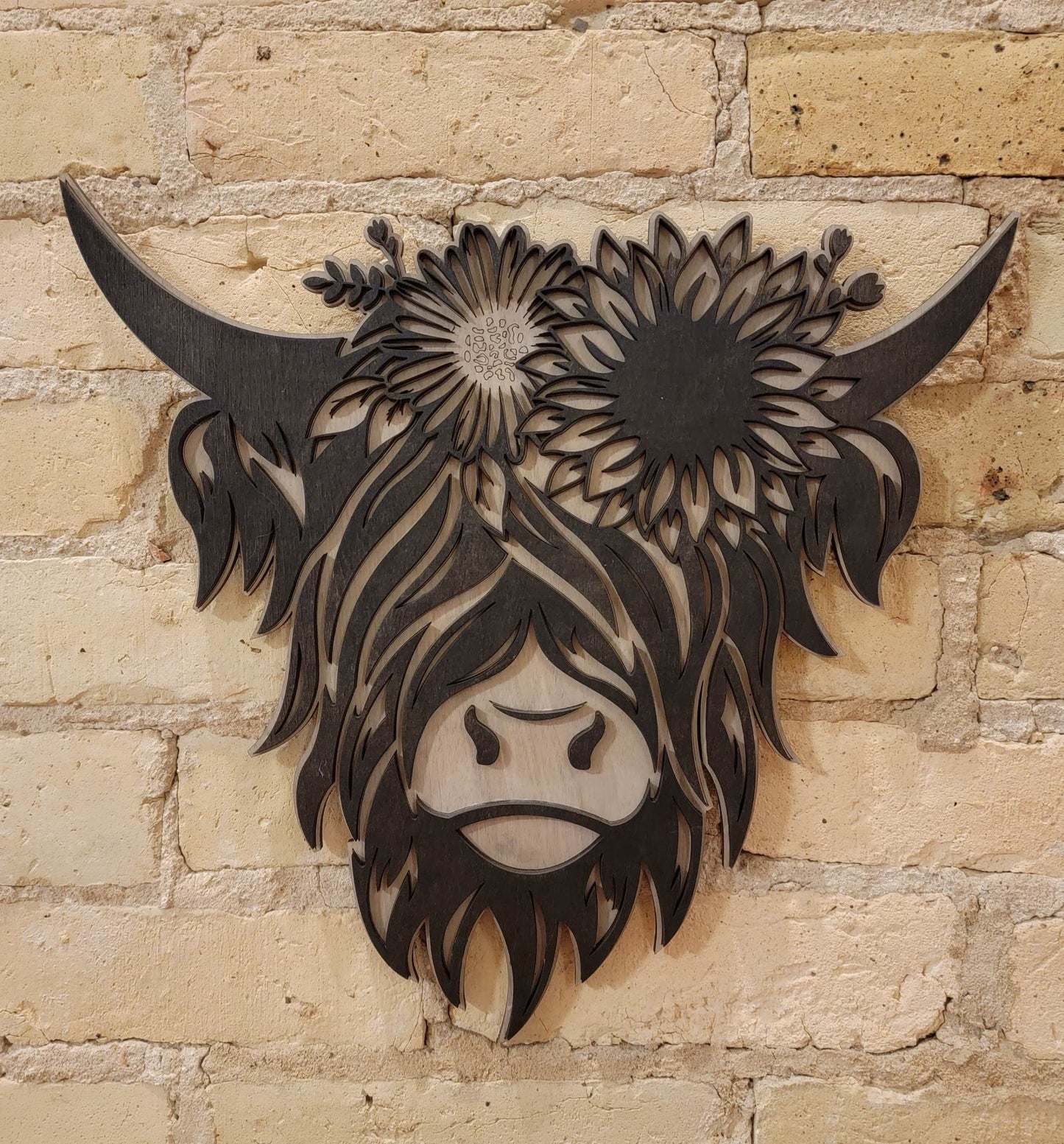 Highland Cow