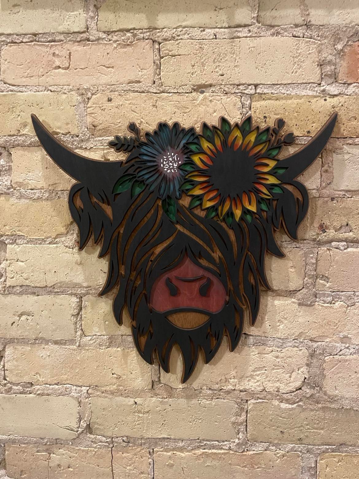 Highland Cow