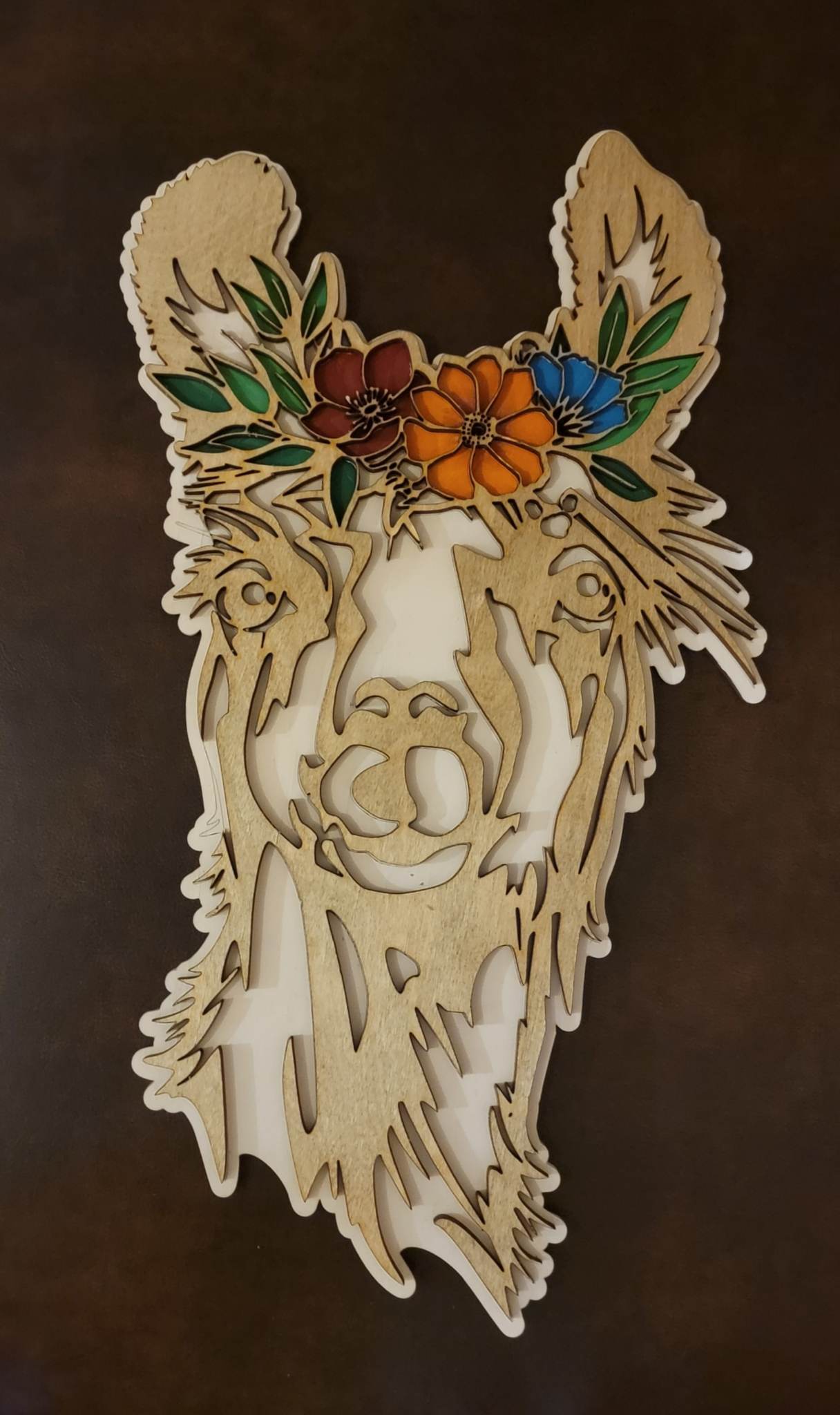 llama