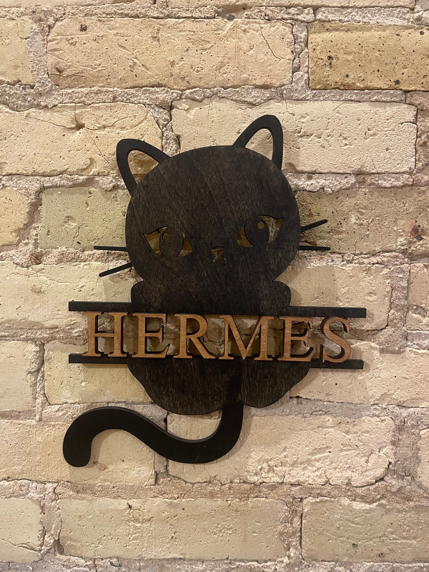 Cat Name