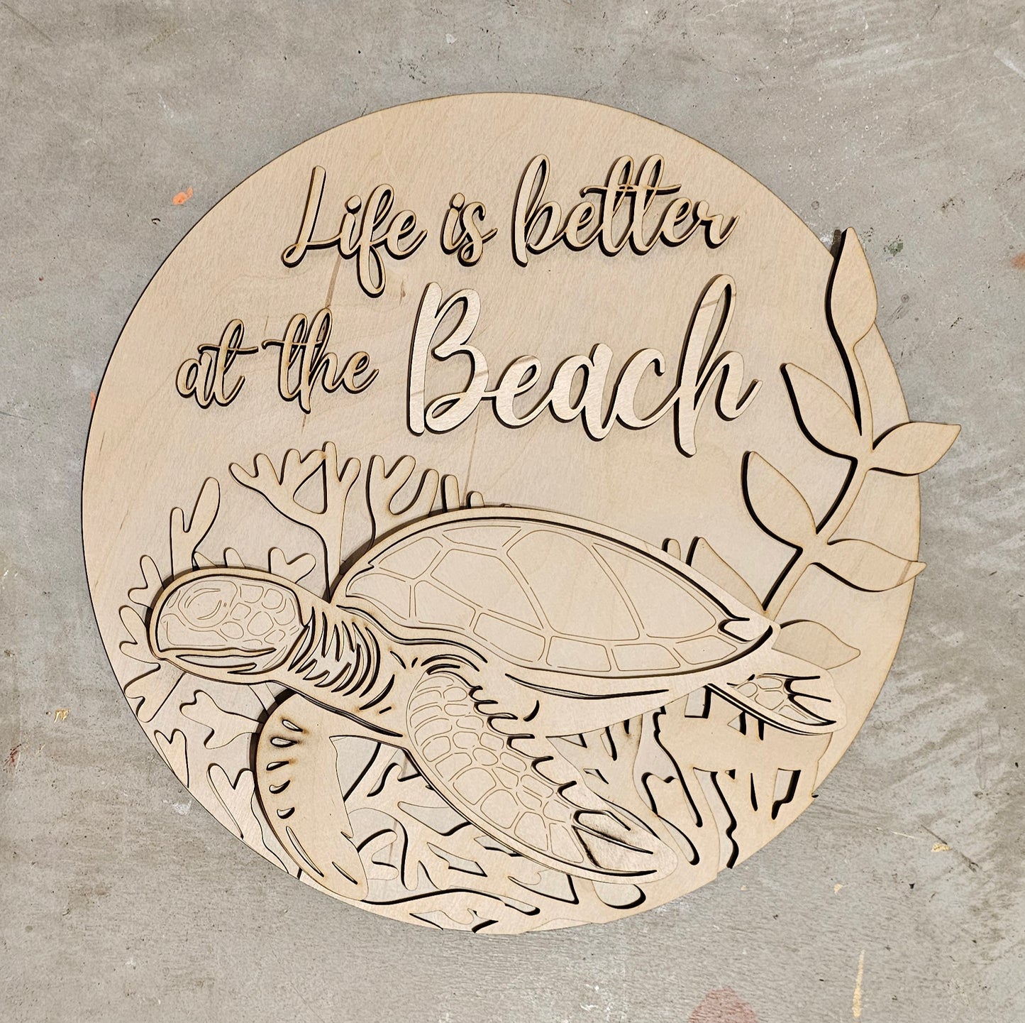 Beach Turtle